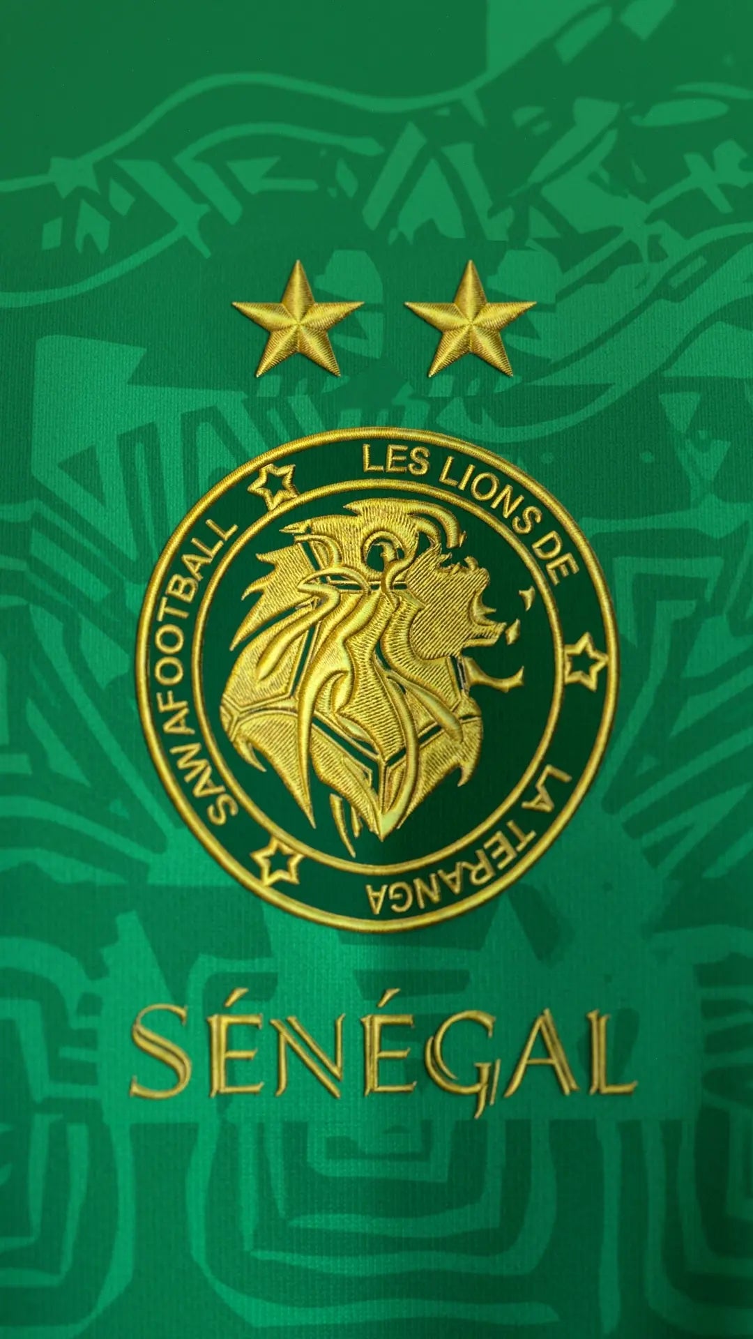Logo du maillot du Sénégal vert